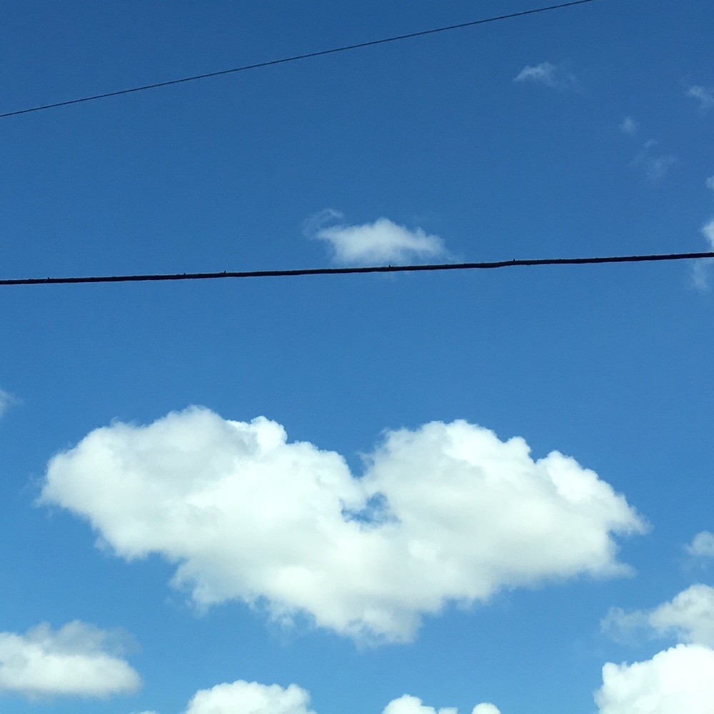 Meet your Posher, Elise